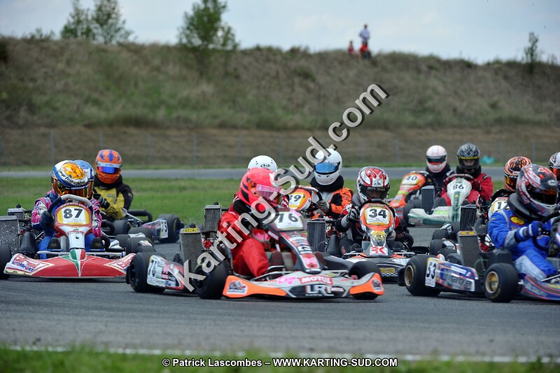 DSC_ (461).jpg
